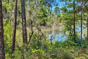 1154 Oakwood Lakes Blvd, Defuniak Springs, FL 32433 - Photo 42