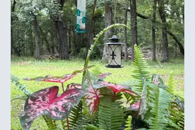 140 Chippewa Drive, Niceville, FL 32578 - Photo 48