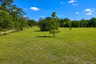 183 Deer Trail, Defuniak Springs, FL 32433 - Photo 6