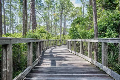 40 Full Moon Lane, Santa Rosa Beach, FL 32459 - Photo 42