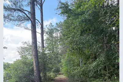 82 Acres 4 Flags Road, Laurel Hill, FL 32567 - Photo 38
