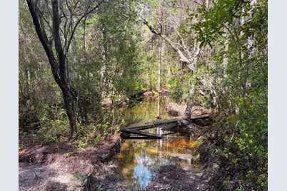 82 Acres 4 Flags Road, Laurel Hill, FL 32567 - Photo 44