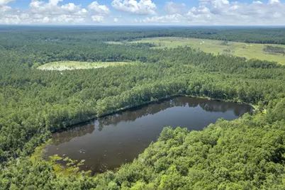 82 Acres 4 Flags Road, Laurel Hill, FL 32567 - Photo 18