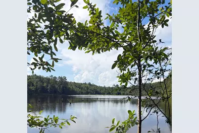 82 Acres 4 Flags Road, Laurel Hill, FL 32567 - Photo 40