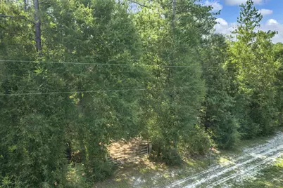 82 Acres 4 Flags Road, Laurel Hill, FL 32567 - Photo 8