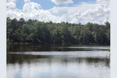 82 Acres 4 Flags Road, Laurel Hill, FL 32567 - Photo 36