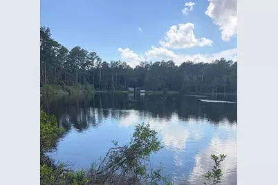 82 Acres 4 Flags Road, Laurel Hill, FL 32567 - Photo 42