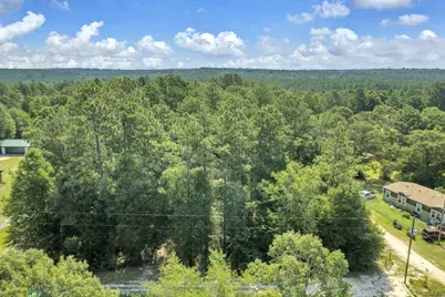 82 Acres 4 Flags Road, Laurel Hill, FL 32567 - Photo 10