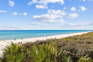 181 W Seacrest Beach Blvd, Inlet Beach, FL 32461 - Photo 58