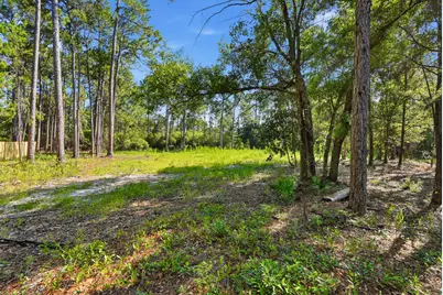 Lot 41 Grantham Lane, Santa Rosa Beach, FL 32459 - Photo 8