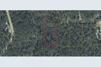 Lot 1 Henry Lane, Defuniak Springs, FL 32433 - Photo 1