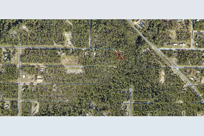 Lot 2 E Buckeye East, Defuniak Springs, FL 32433 - Photo 2