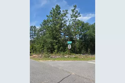 266 E Dogwood Avenue, Defuniak Springs, FL 32433 - Photo 8