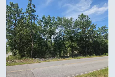 266 E Dogwood Avenue, Defuniak Springs, FL 32433 - Photo 6
