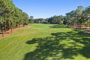 3592 Preserve Ln, Miramar Beach, FL 32550 - Photo 66