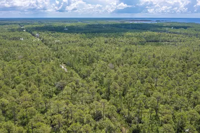 6624 Button Buck Trail, Panama City Beach, FL 32413 - Photo 6
