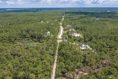6624 Button Buck Trail, Panama City Beach, FL 32413 - Photo 8