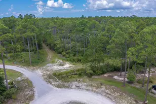 6624 Button Buck Trail, Panama City Beach, FL 32413 - Photo 1