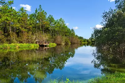 64 Hollow Log Lane, Freeport, FL 32439 - Photo 64