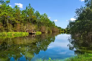 64 Hollow Log Ln, Freeport, FL 32439 - Photo 64