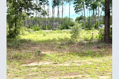0 Co Hwy 3280, Freeport, FL 32439 - Photo 2