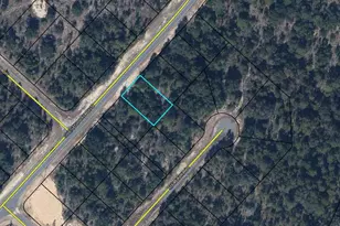 Lot 53 Shenandoah Blvd, Chipley, FL 32428 - Photo 1