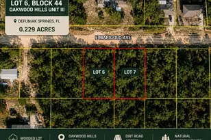 Lot 6 E Marigold Ave, Defuniak Springs, FL 32433 - Photo 1
