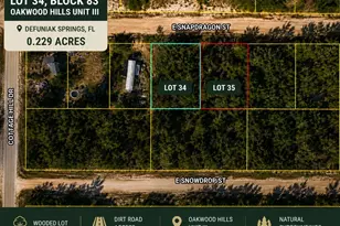 Lot 34 E Snapdragon St, Defuniak Springs, FL 32433 - Photo 1