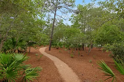201 W Bermuda Drive, Santa Rosa Beach, FL 32459 - Photo 150
