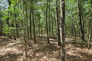 940 Hiawatha St, Holt, FL 32564 - Photo 38