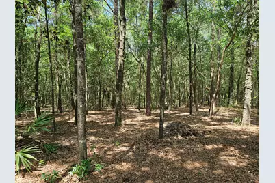 940 Hiawatha Street, Holt, FL 32564 - Photo 36