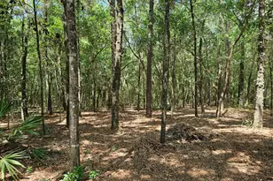 940 Hiawatha St, Holt, FL 32564 - Photo 36