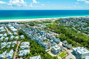 87 Grace Pt Wy, Inlet Beach, FL 32461 - Photo 62