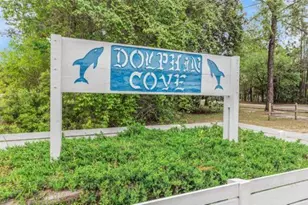 Lot #2 Dolphin Cove, Freeport, FL 32439 - Photo 1