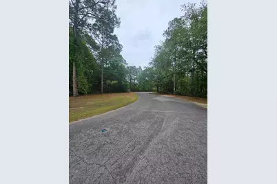 Lot #2 Dolphin Cove, Freeport, FL 32439 - Photo 2