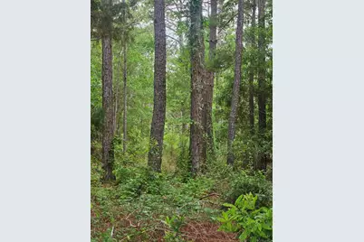 Lot #2 Dolphin Cove, Freeport, FL 32439 - Photo 4