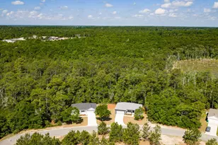 193 Hunters Rdg Dr, Defuniak Springs, FL 32433 - Photo 44