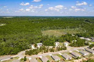 193 Hunters Rdg Dr, Defuniak Springs, FL 32433 - Photo 46