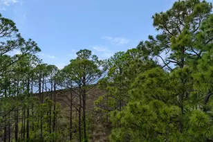 9600 Grand Sandestin Blvd, Miramar Beach, FL 32550 - Photo 26