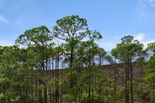 9600 Grand Sandestin Blvd, Miramar Beach, FL 32550 - Photo 28