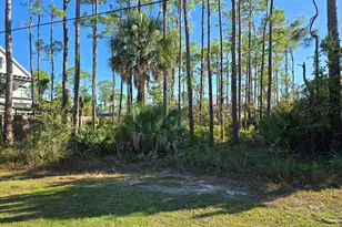 00 Indian Pass Rd, Port Saint Joe, FL 32456 - Photo 10