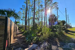 00 Indian Pass Rd, Port Saint Joe, FL 32456 - Photo 12