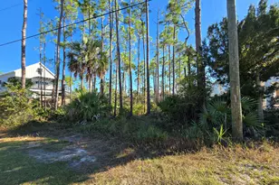 00 Indian Pass Rd, Port Saint Joe, FL 32456 - Photo 18