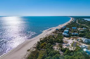 00 Indian Pass Rd, Port Saint Joe, FL 32456 - Photo 30