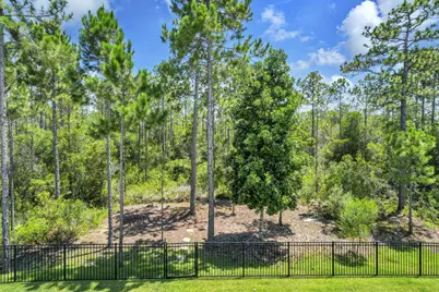224 White Cottage Road, Santa Rosa Beach, FL 32459 - Photo 54