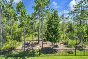 224 White Cottage Rd, Santa Rosa Beach, FL 32459 - Photo 54