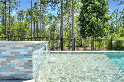 224 White Cottage Road, Santa Rosa Beach, FL 32459 - Photo 48