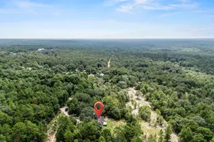 439 Woodpecker Ln, Holt, FL 32564 - Photo 34