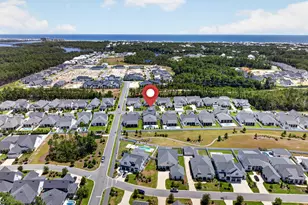 357 W Firethorn Cir, Inlet Beach, FL 32461 - Photo 48