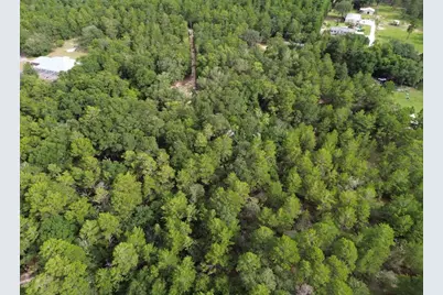 338 Carol Lane, Defuniak Springs, FL 32433 - Photo 4